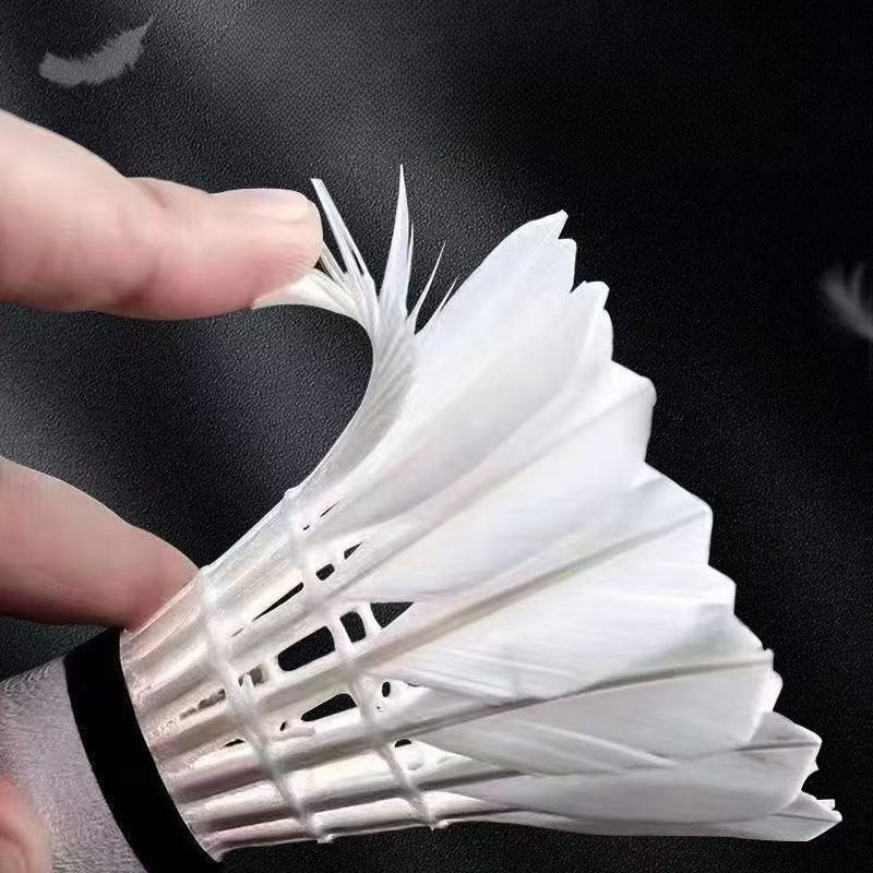 고급 거위 깃털 배드민턴 셔틀콕, 내구성이 뛰어나고 안 - Feather Shuttlecock 리뷰 및 가격