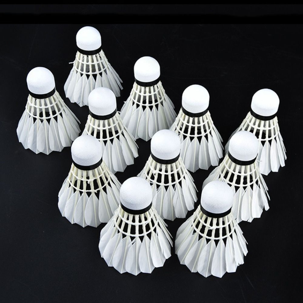 전문 배드민턴 셔틀콕, 블랙 거위 깃털 배드민턴 셔틀콕 - Feather Shuttlecock 리뷰 및 가격